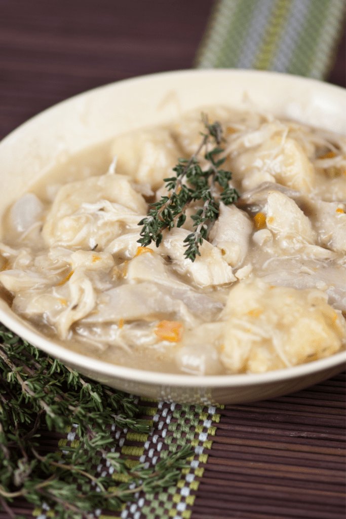 Chicken and Dumplings in a Bowl
