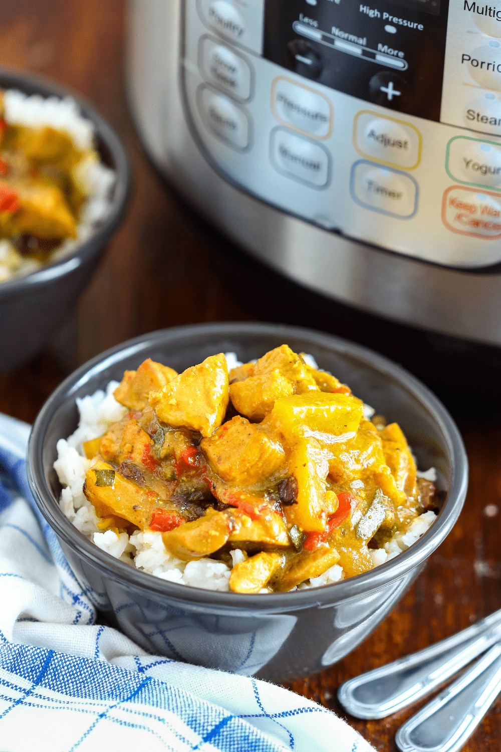 https://insanelygoodrecipes.com/wp-content/uploads/2021/03/Instant-Pot-Chicken-Curry-and-Rice.png
