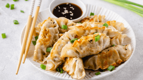 Japanese Fried Dumplings Gyoza with Soy Sauce