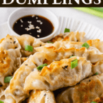 Air Fryer Dumplings