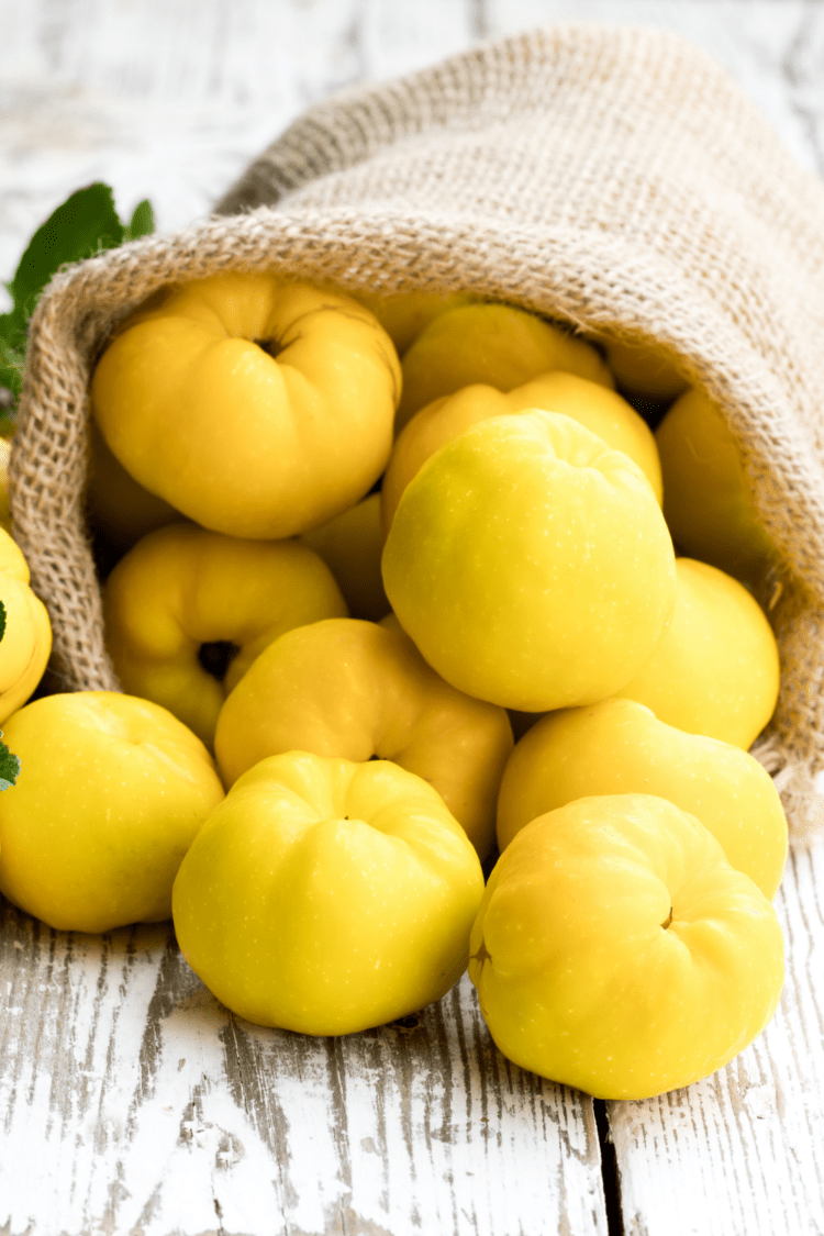 7 Fruits That Start With Q Insanely Good 