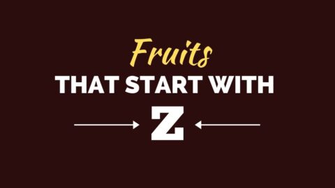 Fruits That Start with Z