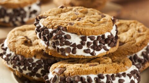 Homemade Chocolate Chip Ice Cream Sandwich