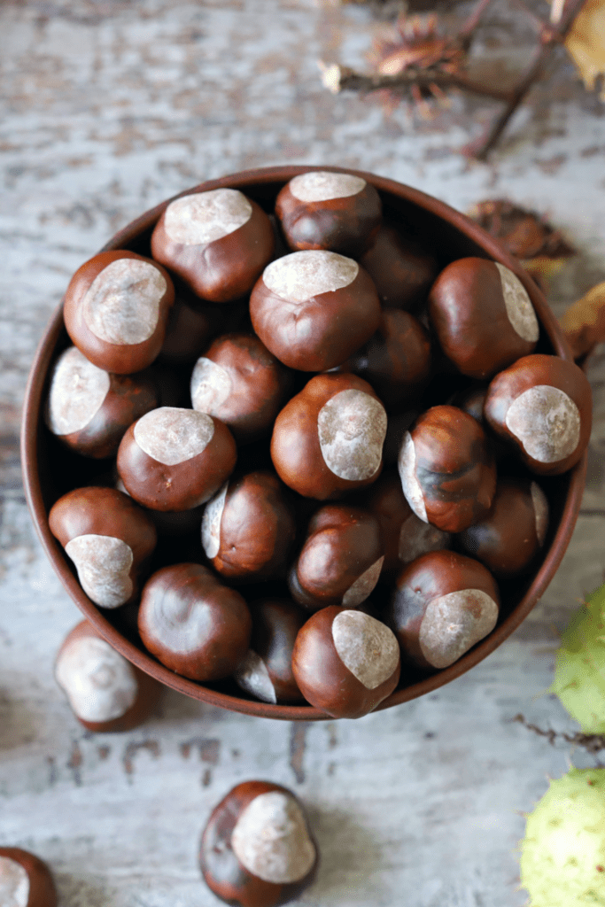 Kastanj or Chestnuts