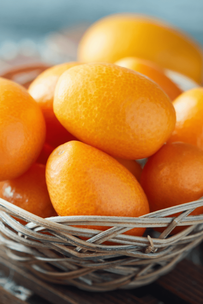Oval Kumquat Fruit