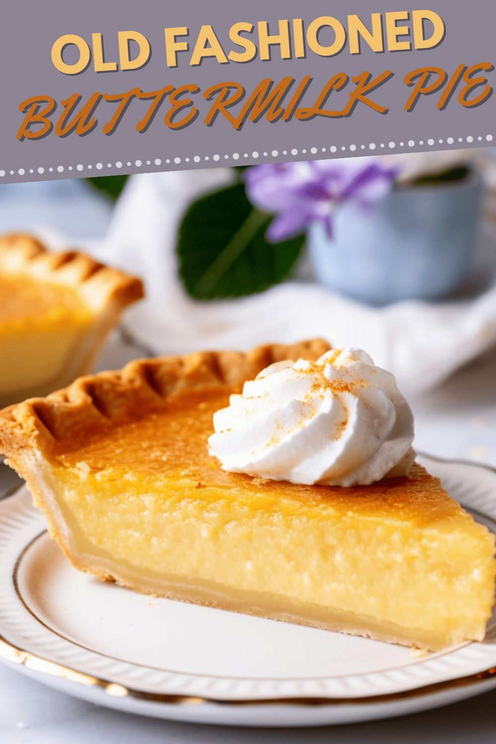 Old Fashioned Buttermilk Pie Insanely Good
