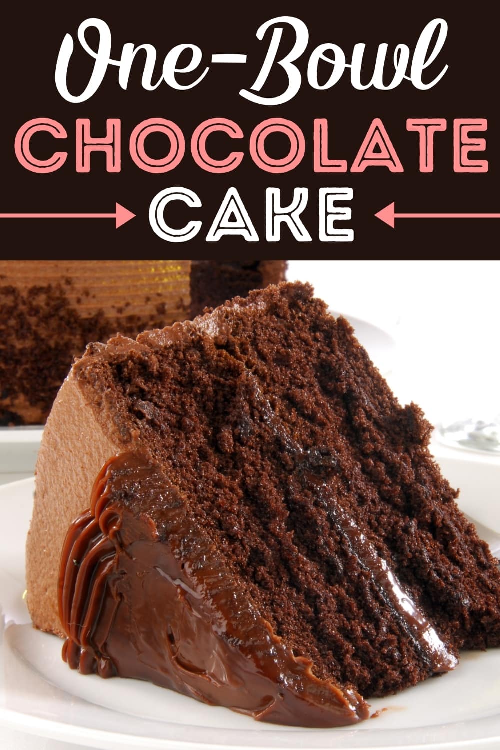 One-Bowl Chocolate Cake - Insanely Good