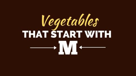 What To Do With Leftover Pumpkin Pie Filling (20 Best Recipes)