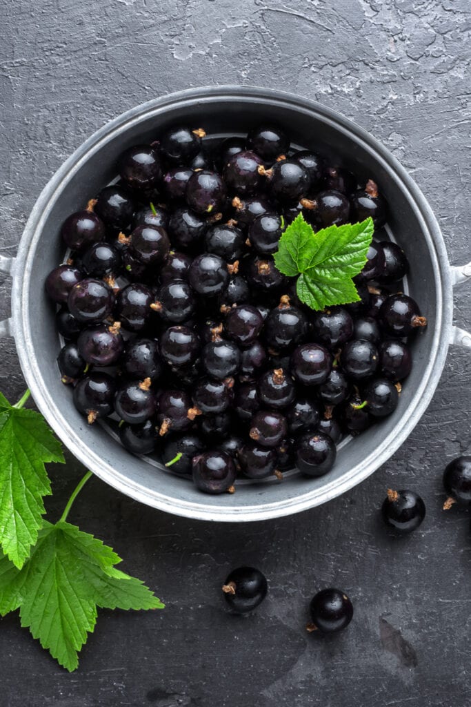 Black Currant Berries