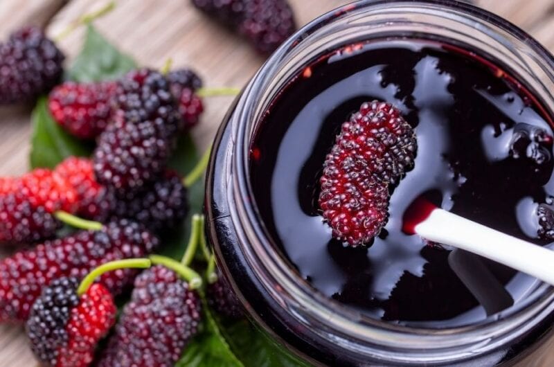 20 Best Ways to Use Mulberries