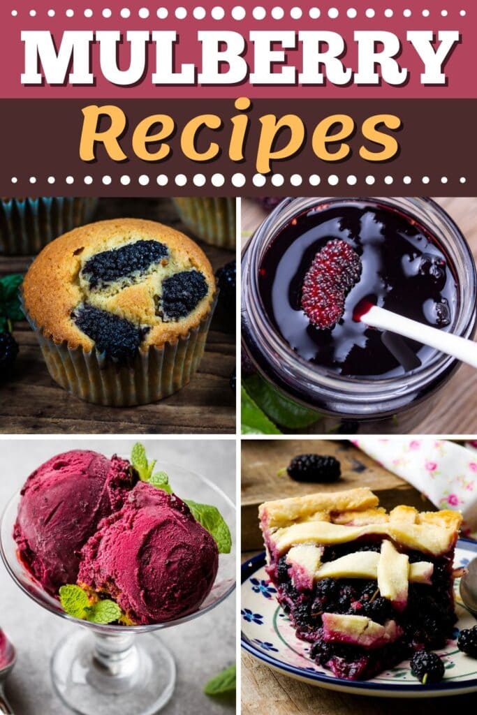 Mulberry Recipes