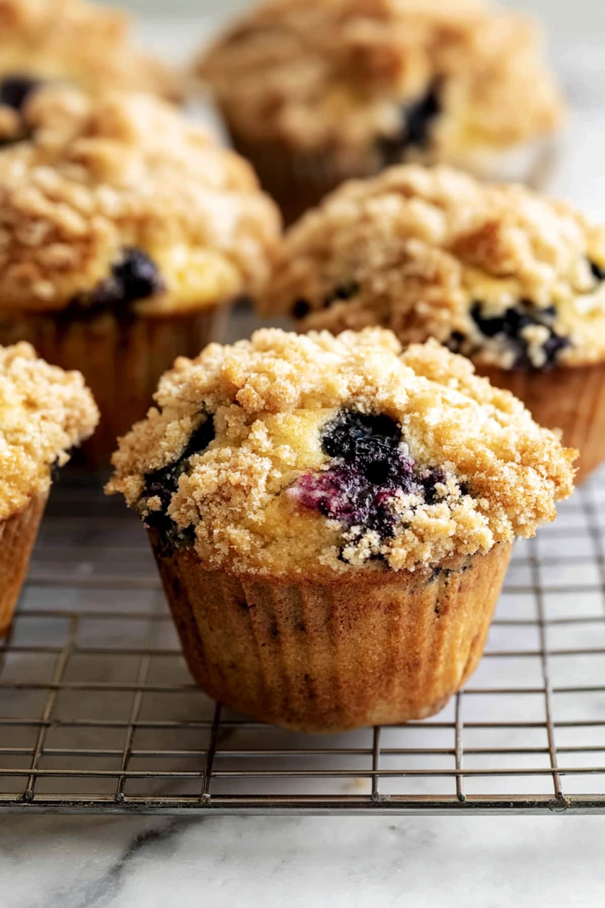Blueberry muffins with crumble toppings in a cooling rack, close-up.