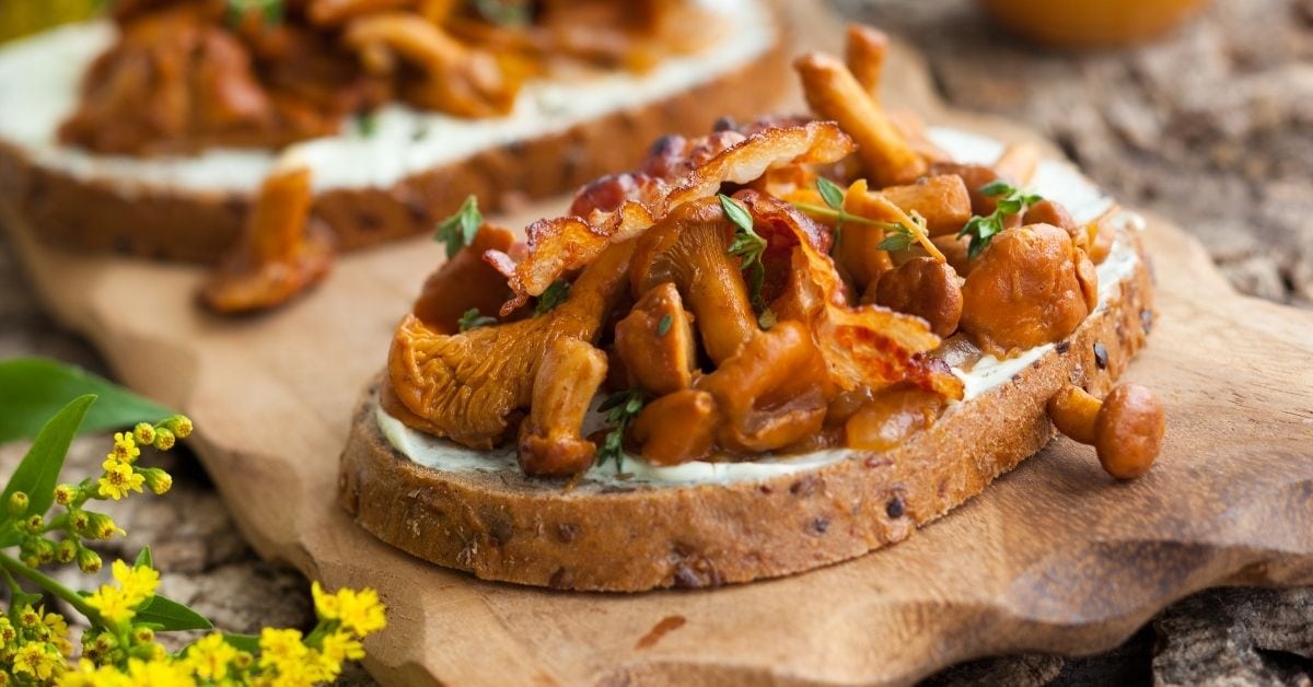 Homemade Chanterelle Sandwich with Bacon and Cheese