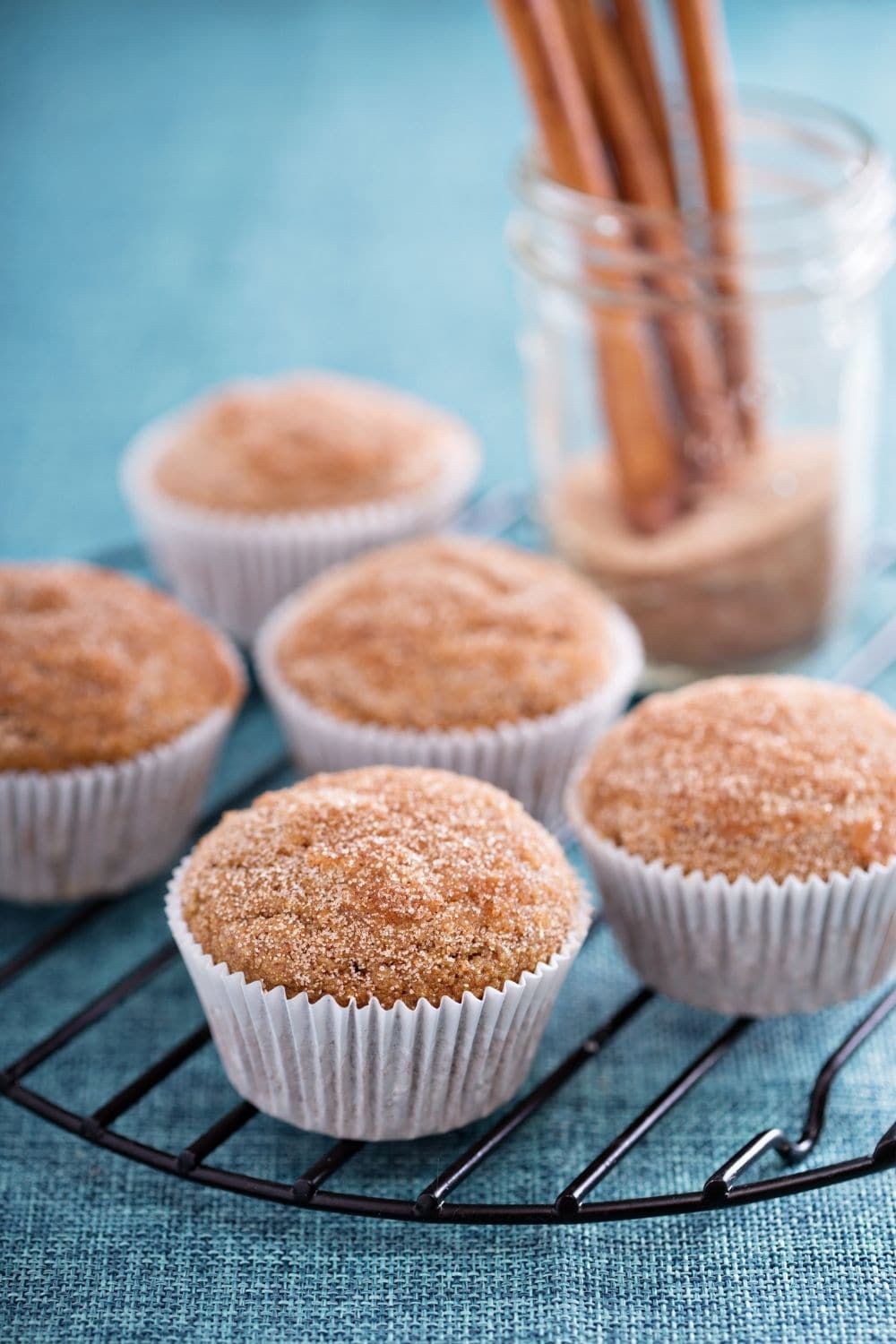 Applesauce Muffins with Cinnamon Sugar