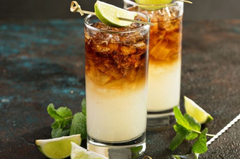 17 Best Ginger Ale Cocktails