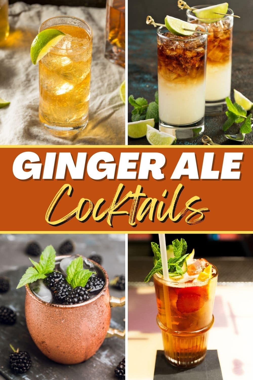 17 Best Ginger Ale Cocktails - Insanely Good
