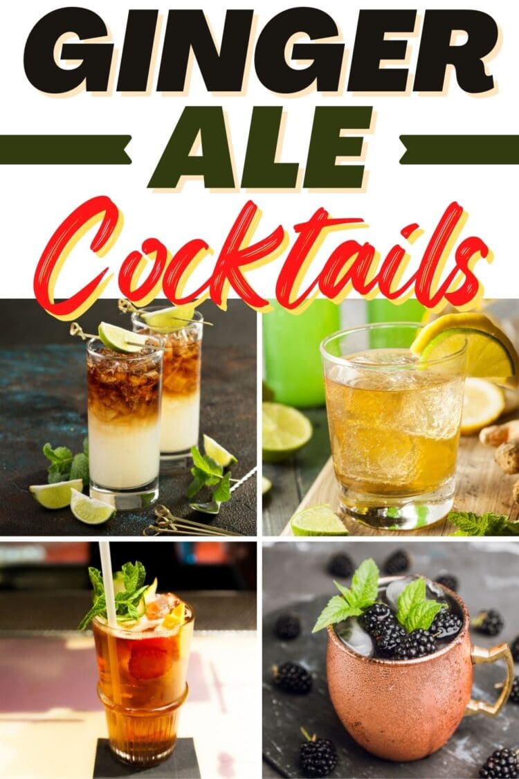 17 Best Ginger Ale Cocktails - Insanely Good