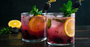 Glasses of Refreshing Lemon Blackberry Meyer Gin and Tonic Cocktail