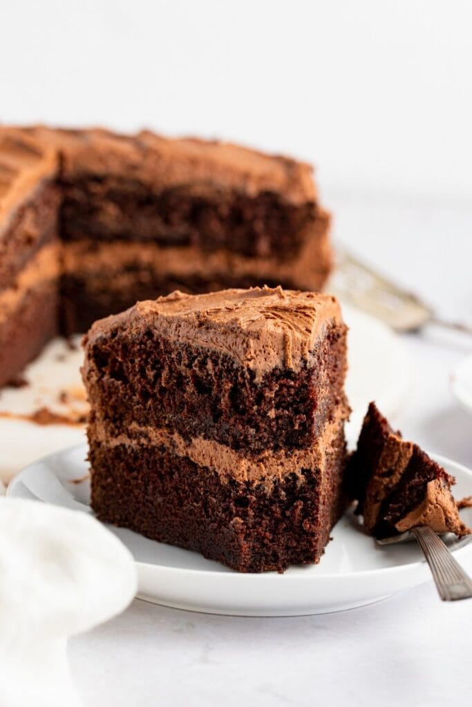 Moist and Fluffy Chocolate Cake
