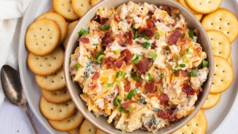 Appetizing Homemade Million Dollar Dip with Bacon, Onions, Cheese and Biscuits
