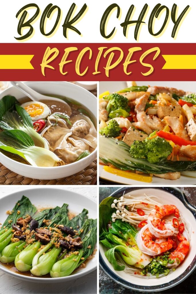 Bok Choy Recipes