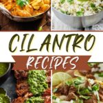 Cilantro Recipes