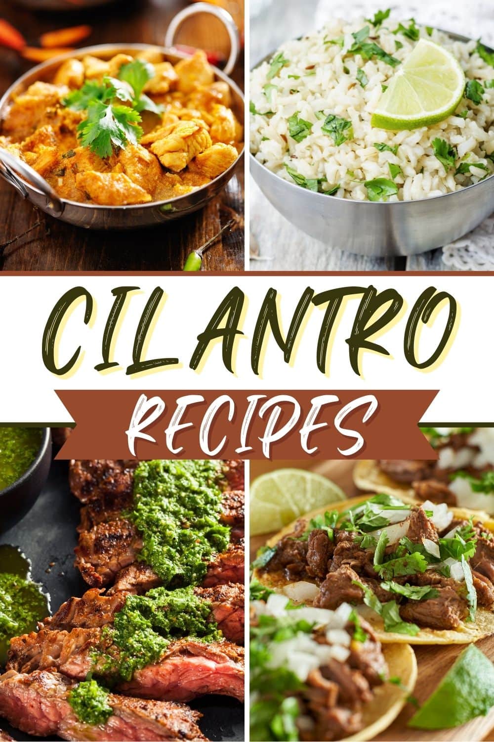 25 Fresh Cilantro Recipes With So Much Flavor - Insanely Good