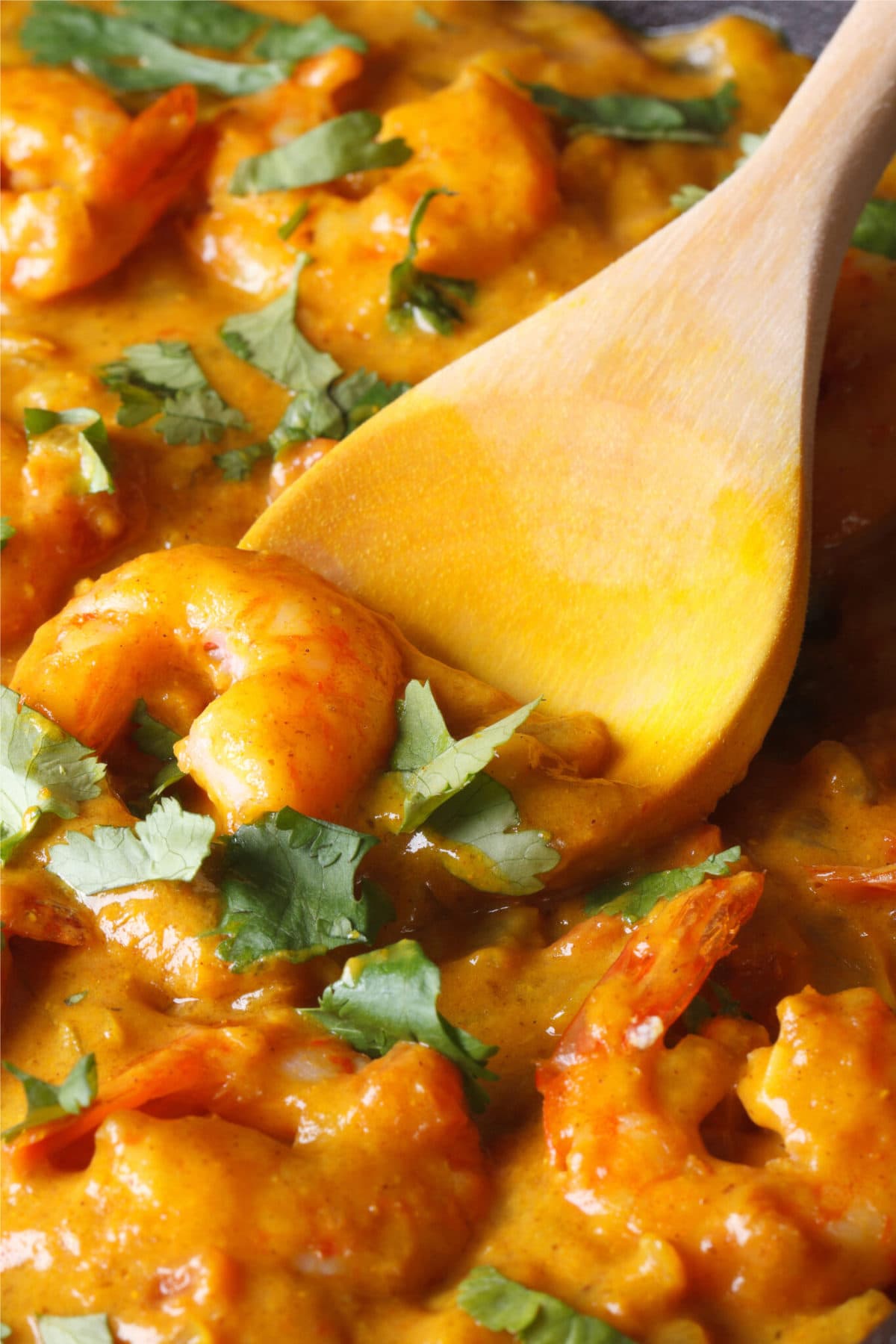 10 Authentic Indian Shrimp Recipes - Insanely Good
