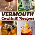 Vermouth Cocktail Recipes