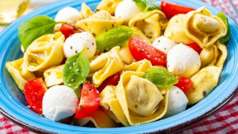 Homemade Tortellini Pasta with Cheese and Tomatoes