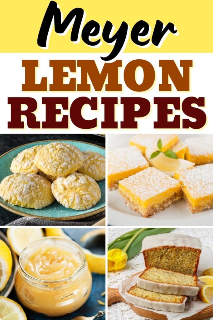Meyer Lemon Recipes
