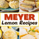 Meyer Lemon Recipes