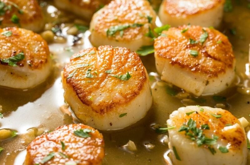 27 Easy Scallops for Seafood Lovers