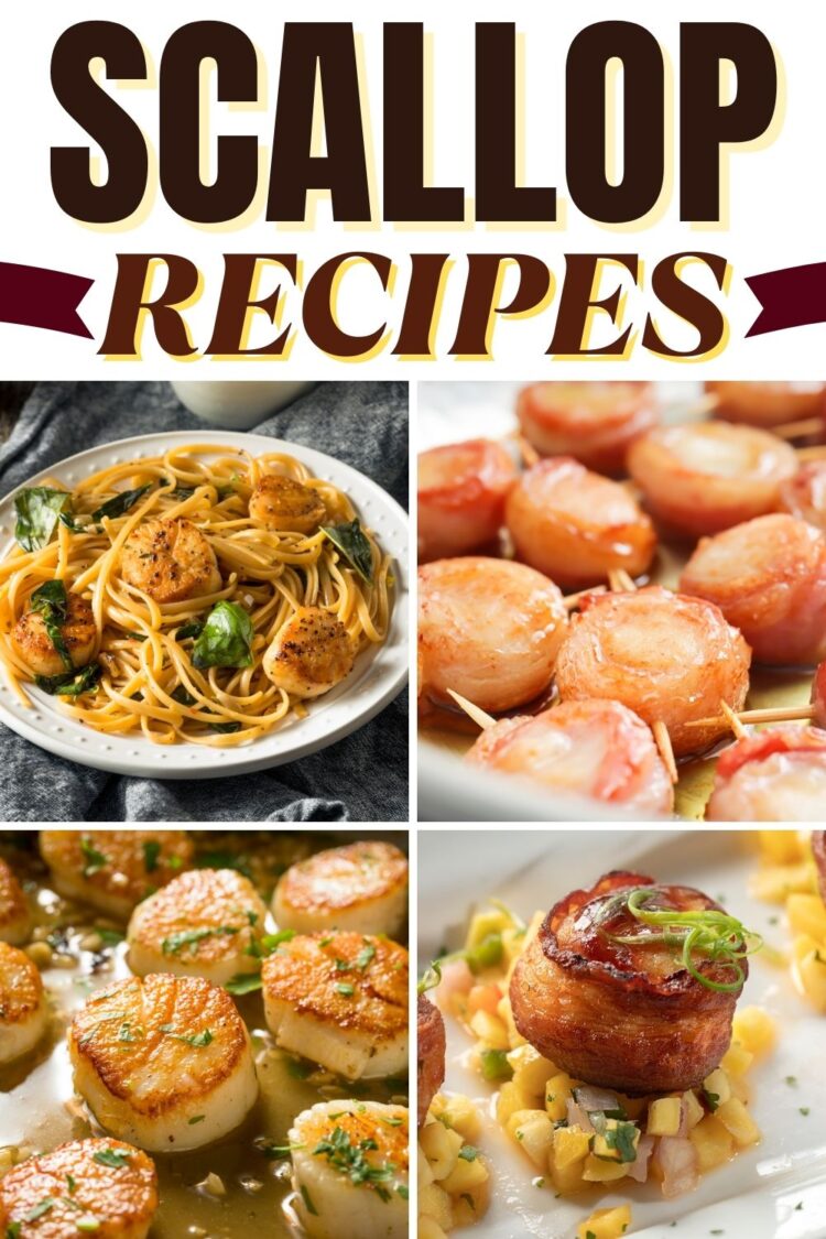 27 Easy Scallop Recipes for Seafood Lovers - Insanely Good