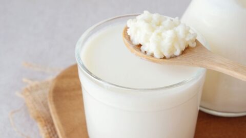 A Glass of Kefir Milk with a Spoon of Kefir Grains