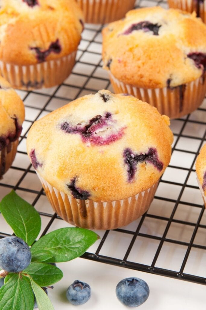 Blueberry Muffins in a Cooking Rack