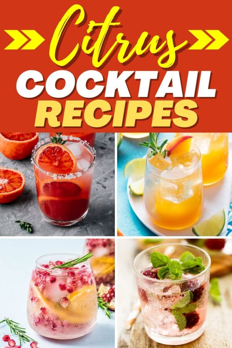 33 Easy Citrus Cocktail Recipes for Spring - Insanely Good