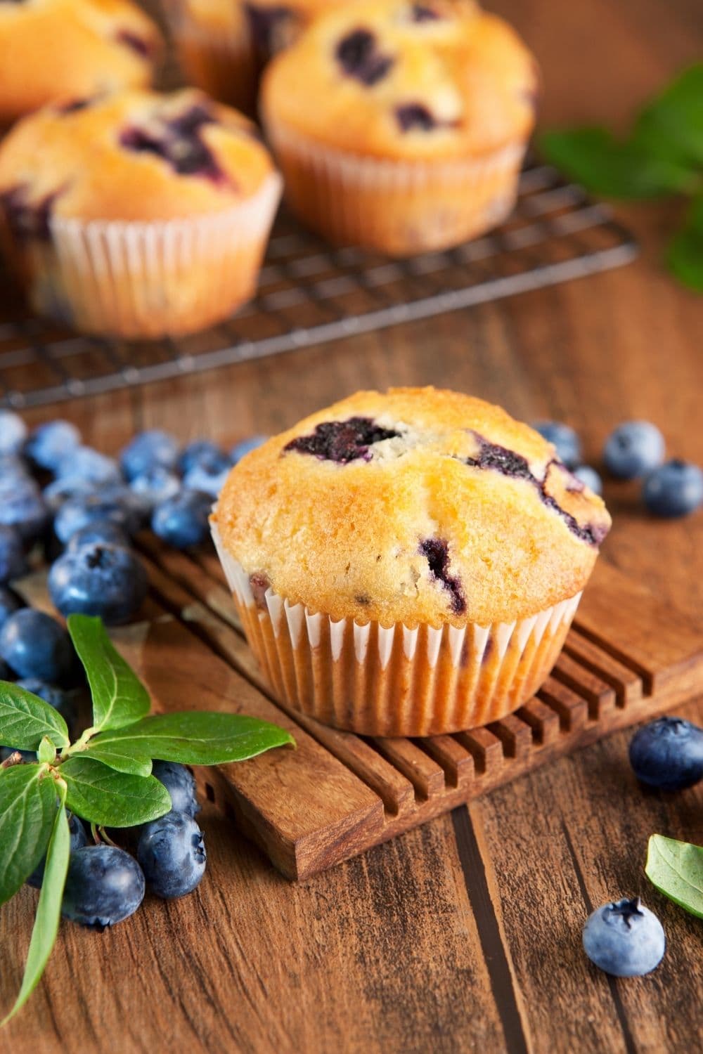 Dense and Moist and Blueberry Muffins