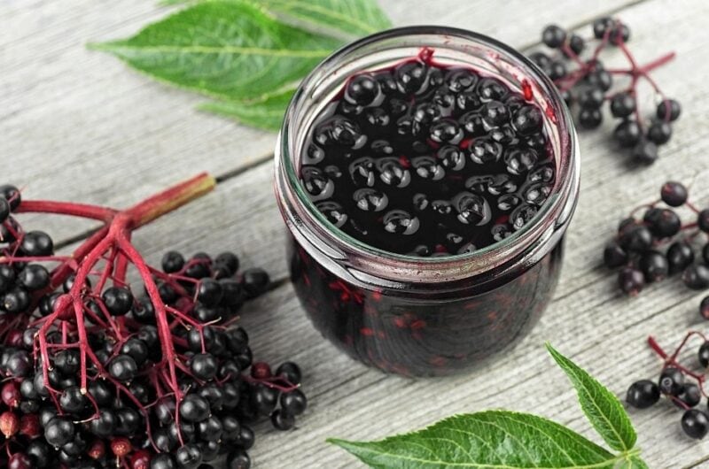 25 Elderberry Recipes (Syrup + Health Remedies)