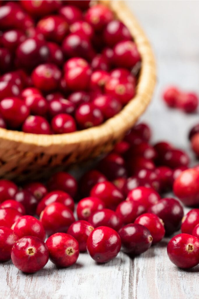 Ocean Spray Cranberry Sauce Recipe - 72