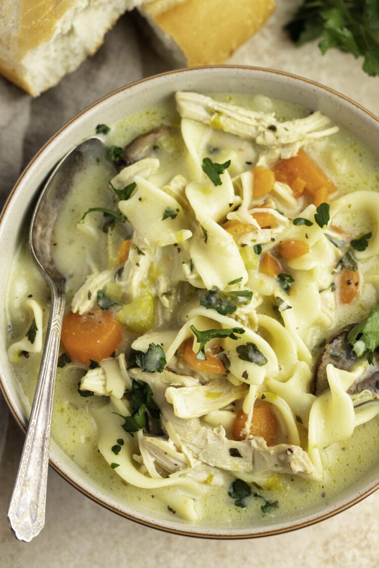 Paula Deen Chicken Noodle Soup - Insanely Good