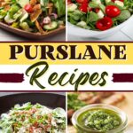 Purslane Recipes