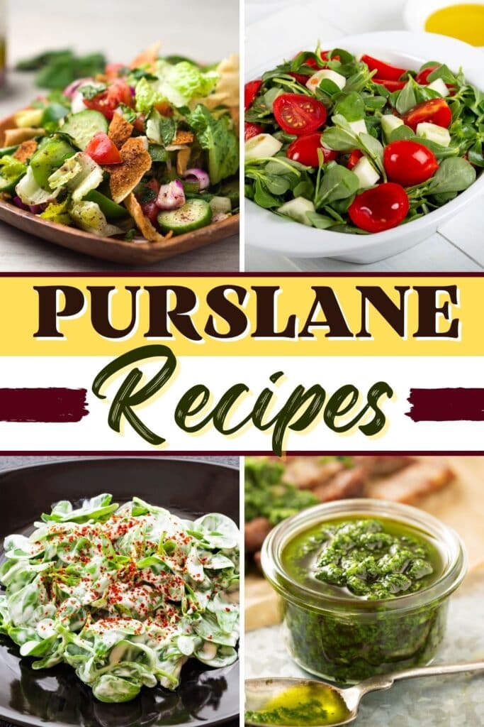 Purslane Recipes