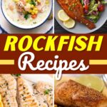 Rockfish Recipes