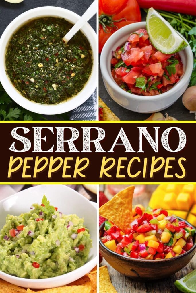 Serrano Pepper Recipes