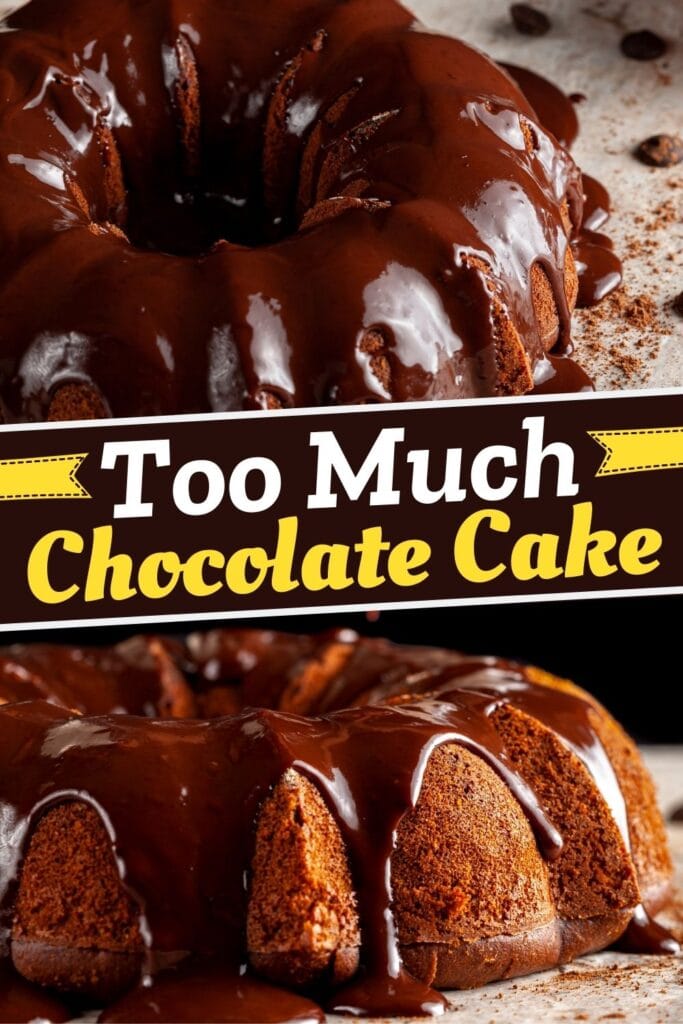 Too Much Chocolate Cake