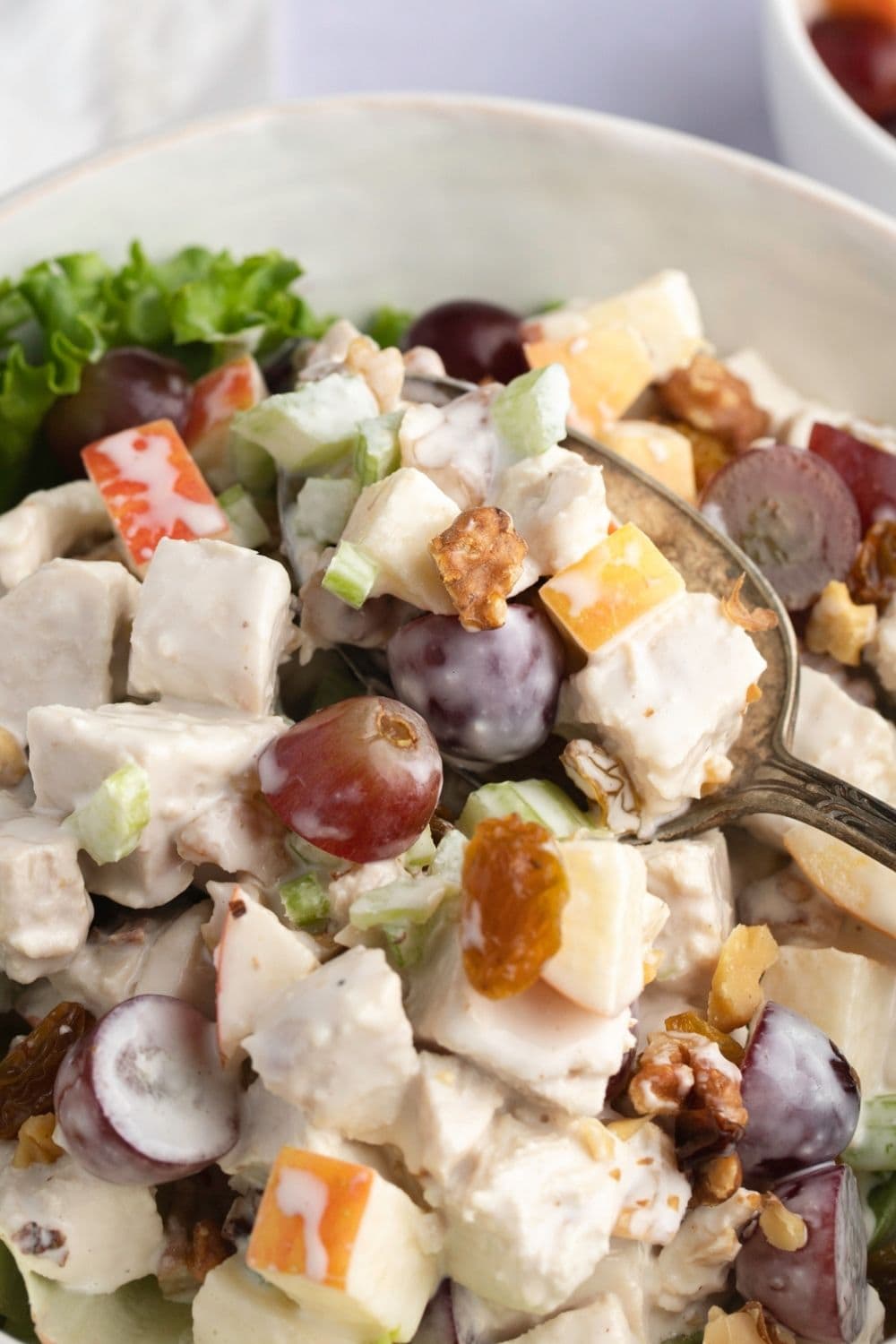 Chicken Waldorf Salad with Grapes, Apples, Walnuts and Lettuce