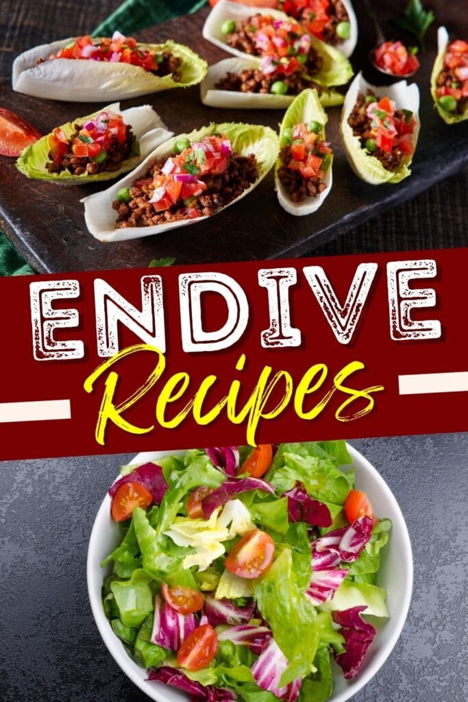 Endive Recipes