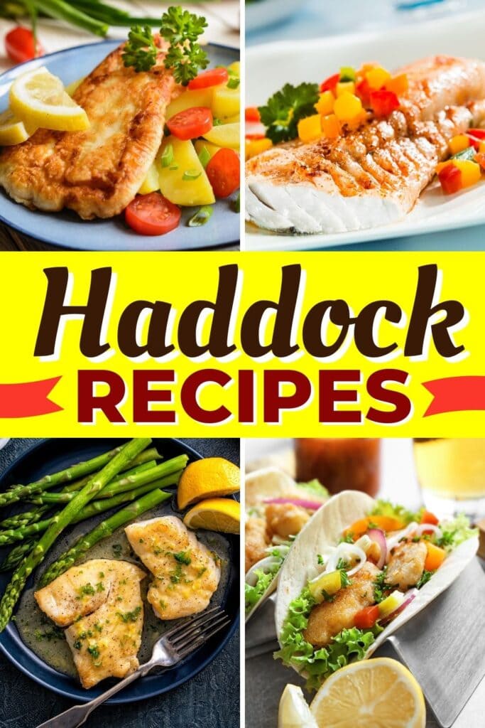 Haddock Recipes