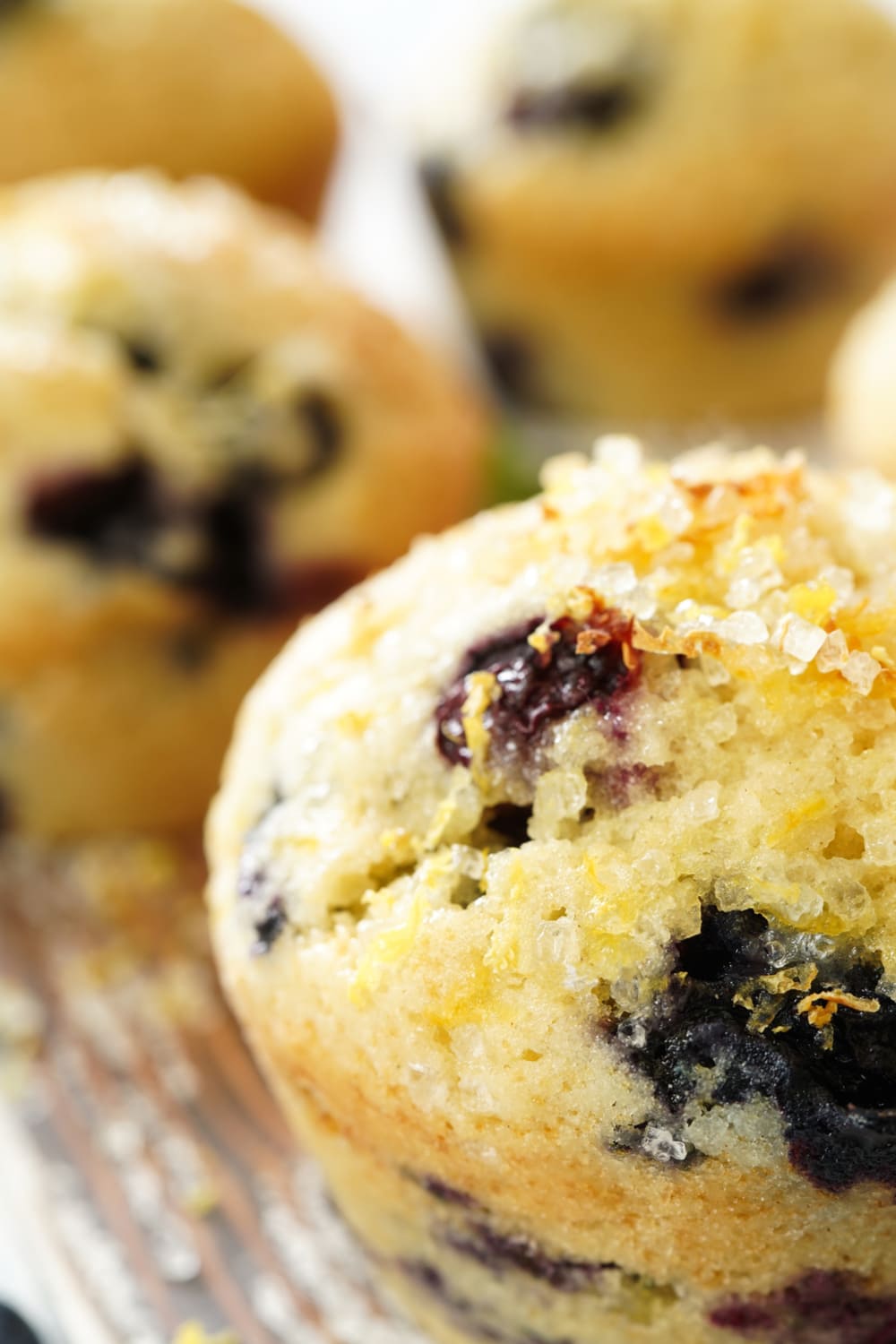 Lemon Blueberry Muffins Closeup View